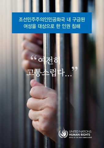 조선민주주의인민공화국 내 구금된 여성을 대상으로 한 인권 침해