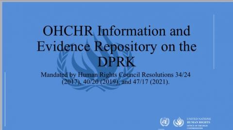 브리핑: OHCHR 정보 및 증거 저장소